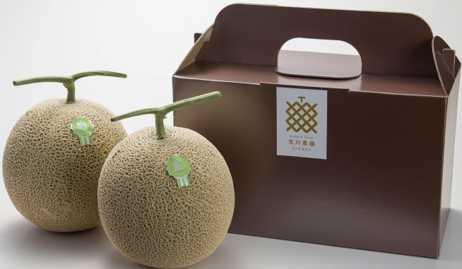 7月上旬より発送【完全予約制】【送料込】文字入りアールスメロン2玉組