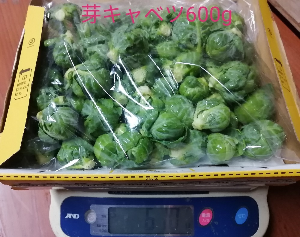 ちっちゃな体で栄養いっぱいの 芽キャベツ 600ｇ入り 冬限定野菜