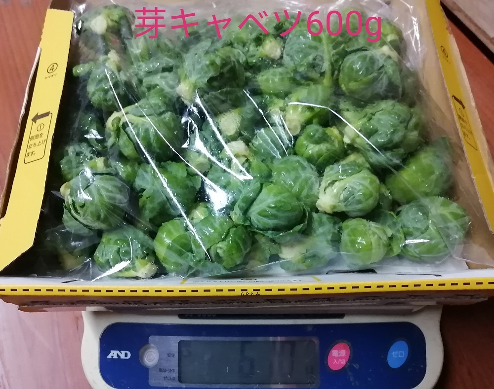 ちっちゃな体で栄養いっぱいの 芽キャベツ 600g入り 冬限定野菜 ちっちゃな体で栄養いっぱいの 芽キャベツ 600g入り 冬限定野菜